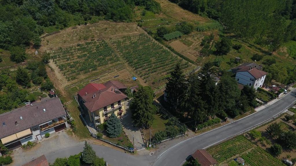 B&B Cantine Pietronero Orsara Bormida Exterior foto